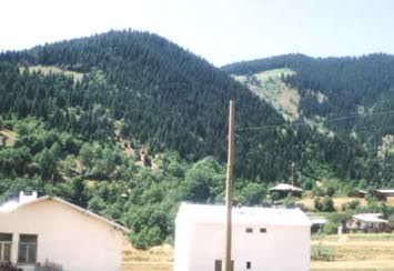 Merya Galeri