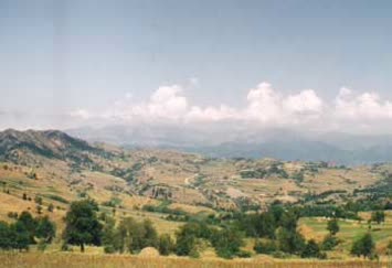 Kireçli Galeri