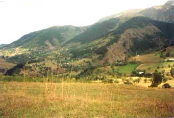 Vahdettin Dursun