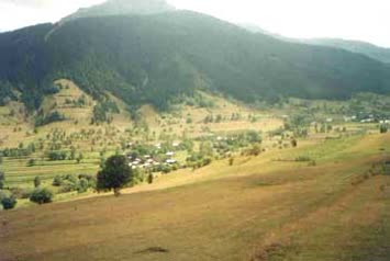İbhirevil