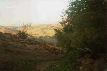 İbhirevil