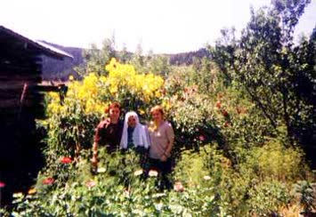 Kemal Yıldız