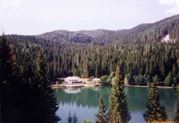 Turan Yıldız 