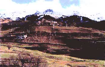 N.Kemal Topçu