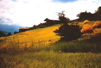N.Kemal Topçu