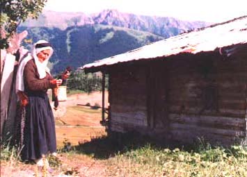 N.Kemal Topçu