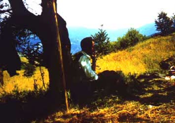 N.Kemal Topçu