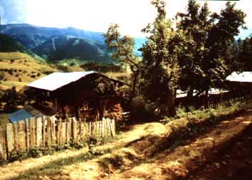 N.Kemal Topçu