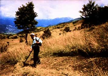 N.Kemal Topçu