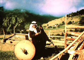 N.Kemal Topçu