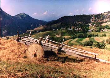 N.Kemal Topçu