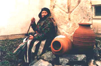 N.Kemal Topçu