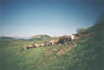 Remzi Yılmaz