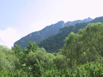 Remzi Yılmaz