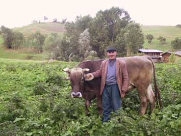 Remzi Yılmaz
