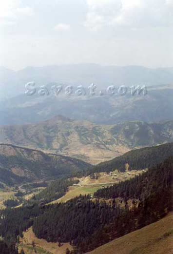 Op.Dr.Salih Topçu