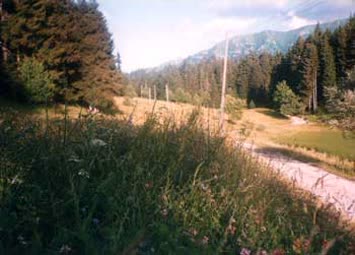 Nurten Demir