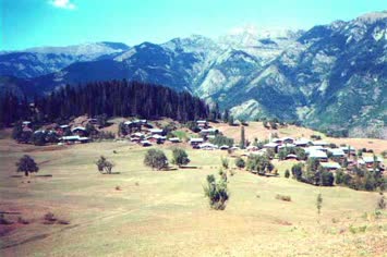 Yeşilce