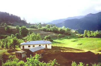 Yeşilce