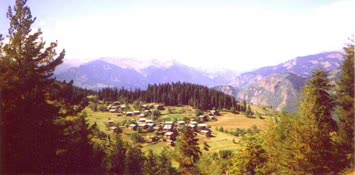 Yeşilce