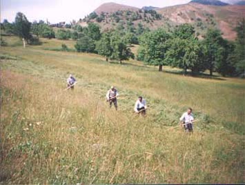 Davut Karahan