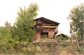 Tankut Barış Aktemur