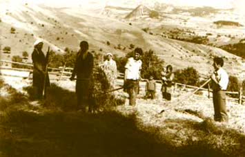 Davut Karahan 