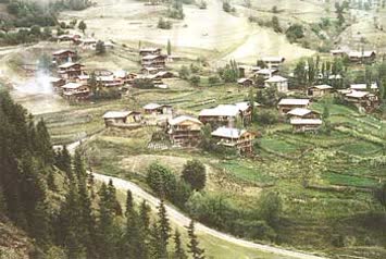 Davut Karahan 