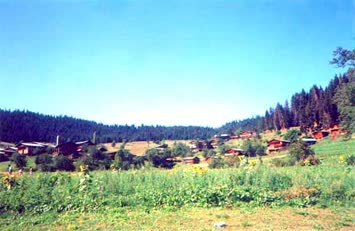 Manatba