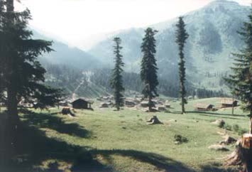Atalar