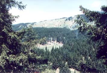 Atalar