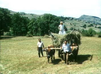 Kemalettin Başar Galerisi