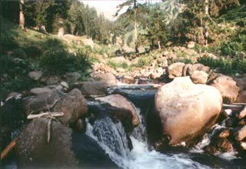 Atalar