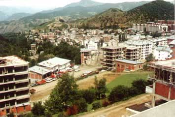 Halis Altun