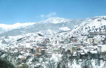 Halis Altun