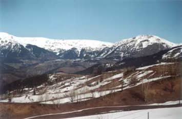 Halis Altun