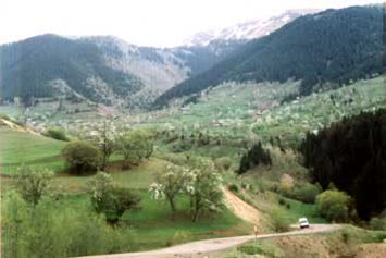 Halis Altun
