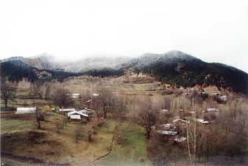 Halis Altun