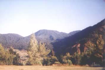 Halis Altun