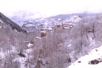 Halis Altun