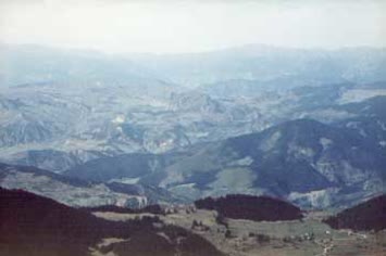 Halis Altun