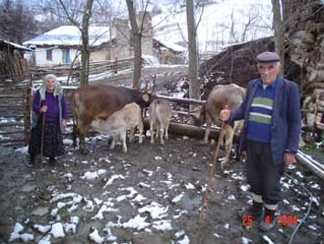 Vahit Çetin