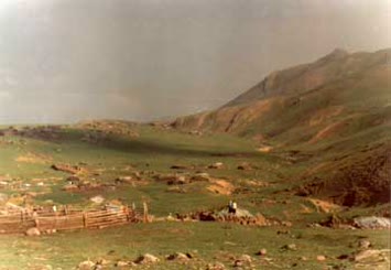 Vahit Çetin