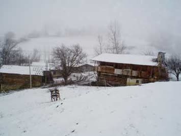 Vahit Çetin