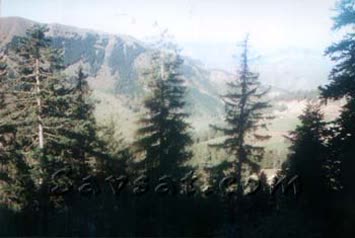 Fahrettin Dede