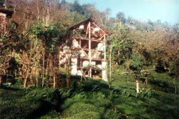 Fahrettin Dede