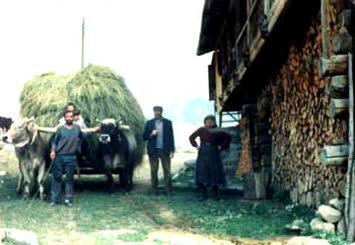 Suloban