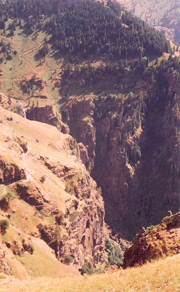  Murat Gümüş