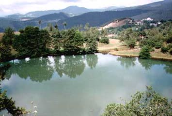 Şentürk Dursun