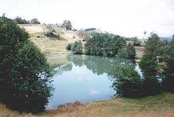 Şentürk Dursun